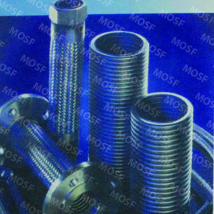 SS Flexible Hose
